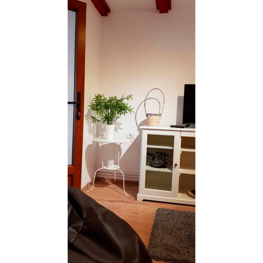 Vaso Apartament Sinaia Kültér fotó