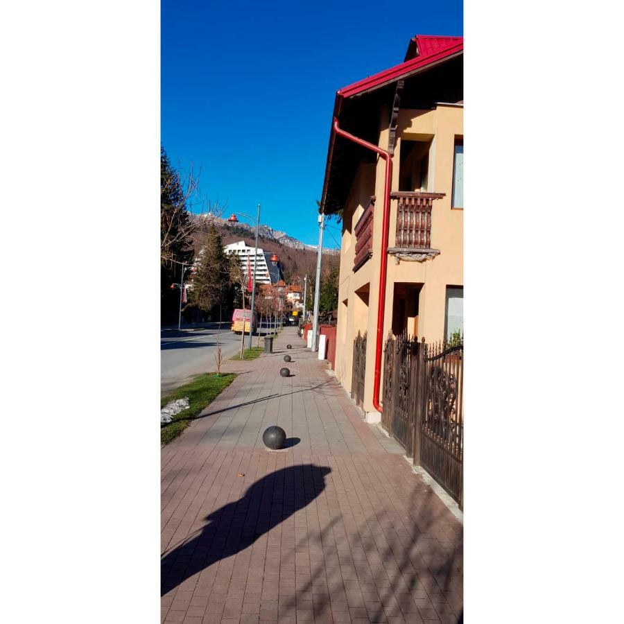 Vaso Apartament Sinaia Kültér fotó