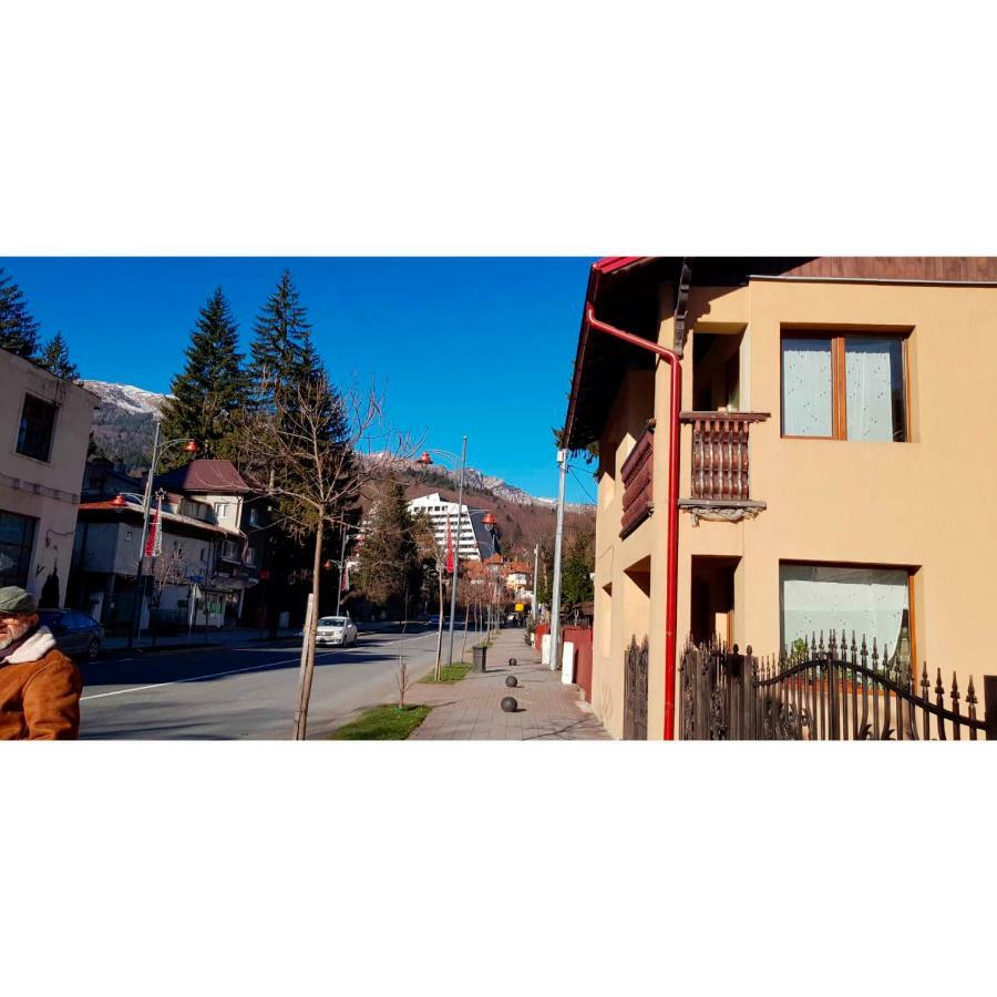 Vaso Apartament Sinaia Kültér fotó