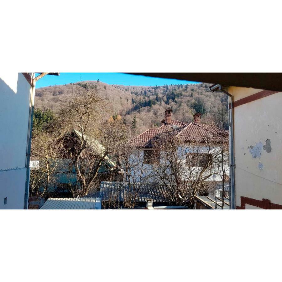Vaso Apartament Sinaia Kültér fotó